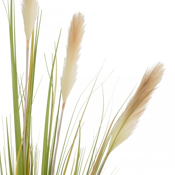 GloboStar® Artificial Garden PAMPAS GRASS 21478 Τεχνητό Διακοσμητικό Φυτό Μπεζ & Πράσινο Πάμπας Μ90 x Π40 x Υ150cm GloboStar® Artificial Garden PAMPAS GRASS 21478 Τεχνητό Διακοσμητικό Φυτό Μπεζ & Πράσινο Πάμπας Μ90 x Π40 x Υ150cm
