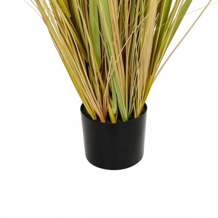 GloboStar® Artificial Garden PAMPAS GRASS 21478 Τεχνητό Διακοσμητικό Φυτό Μπεζ & Πράσινο Πάμπας Μ90 x Π40 x Υ150cm GloboStar® Artificial Garden PAMPAS GRASS 21478 Τεχνητό Διακοσμητικό Φυτό Μπεζ & Πράσινο Πάμπας Μ90 x Π40 x Υ150cm