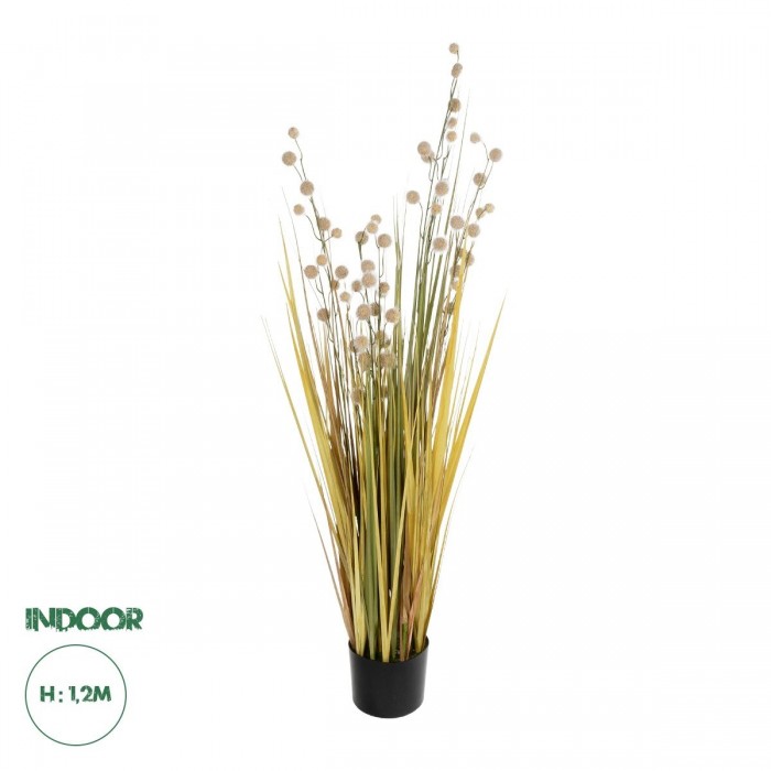 GloboStar® Artificial Garden CRASPEDIA GRASS 21479 Τεχνητό Διακοσμητικό Φυτό Κρασπέδια Υ120cm GloboStar® Artificial Garden CRASPEDIA GRASS 21479 Τεχνητό Διακοσμητικό Φυτό Κρασπέδια Υ120cm