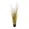 GloboStar® Artificial Garden CRASPEDIA GRASS 21479 Τεχνητό Διακοσμητικό Φυτό Κρασπέδια Υ120cm GloboStar® Artificial Garden CRASPEDIA GRASS 21479 Τεχνητό Διακοσμητικό Φυτό Κρασπέδια Υ120cm