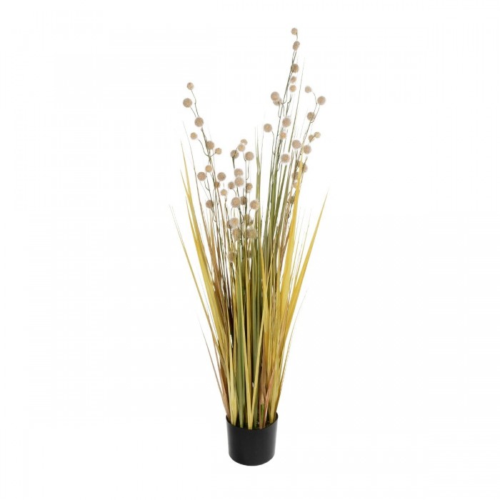 GloboStar® Artificial Garden CRASPEDIA GRASS 21479 Τεχνητό Διακοσμητικό Φυτό Κρασπέδια Υ120cm GloboStar® Artificial Garden CRASPEDIA GRASS 21479 Τεχνητό Διακοσμητικό Φυτό Κρασπέδια Υ120cm