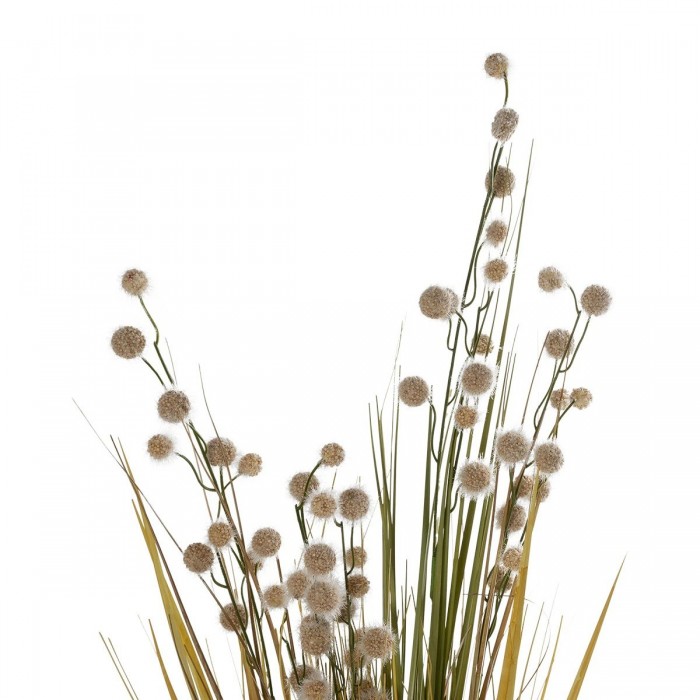 GloboStar® Artificial Garden CRASPEDIA GRASS 21479 Τεχνητό Διακοσμητικό Φυτό Κρασπέδια Υ120cm GloboStar® Artificial Garden CRASPEDIA GRASS 21479 Τεχνητό Διακοσμητικό Φυτό Κρασπέδια Υ120cm