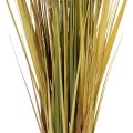 GloboStar® Artificial Garden CRASPEDIA GRASS 21479 Τεχνητό Διακοσμητικό Φυτό Κρασπέδια Υ120cm GloboStar® Artificial Garden CRASPEDIA GRASS 21479 Τεχνητό Διακοσμητικό Φυτό Κρασπέδια Υ120cm