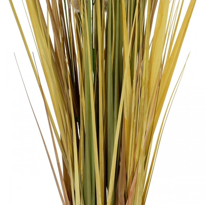 GloboStar® Artificial Garden CRASPEDIA GRASS 21479 Τεχνητό Διακοσμητικό Φυτό Κρασπέδια Υ120cm GloboStar® Artificial Garden CRASPEDIA GRASS 21479 Τεχνητό Διακοσμητικό Φυτό Κρασπέδια Υ120cm