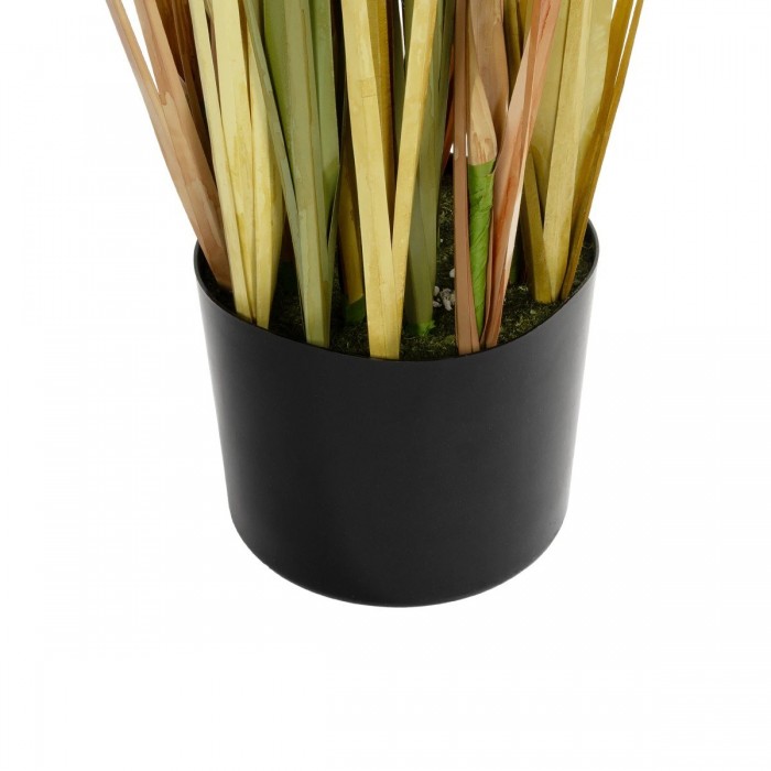 GloboStar® Artificial Garden CRASPEDIA GRASS 21479 Τεχνητό Διακοσμητικό Φυτό Κρασπέδια Υ120cm GloboStar® Artificial Garden CRASPEDIA GRASS 21479 Τεχνητό Διακοσμητικό Φυτό Κρασπέδια Υ120cm
