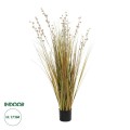 GloboStar® Artificial Garden CRASPEDIA GRASS 21480 Τεχνητό Διακοσμητικό Φυτό Μπεζ & Πράσινο Κρασπέδια Μ90 x Π60 x Υ175cm GloboStar® Artificial Garden CRASPEDIA GRASS 21480 Τεχνητό Διακοσμητικό Φυτό Μπεζ & Πράσινο Κρασπέδια Μ90 x Π60 x Υ175cm