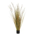 GloboStar® Artificial Garden CRASPEDIA GRASS 21480 Τεχνητό Διακοσμητικό Φυτό Μπεζ & Πράσινο Κρασπέδια Μ90 x Π60 x Υ175cm GloboStar® Artificial Garden CRASPEDIA GRASS 21480 Τεχνητό Διακοσμητικό Φυτό Μπεζ & Πράσινο Κρασπέδια Μ90 x Π60 x Υ175cm