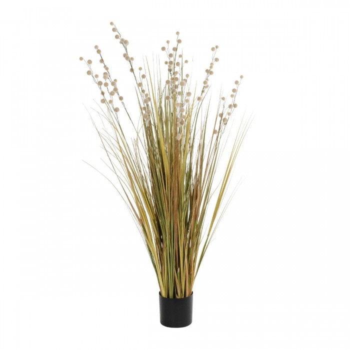 GloboStar® Artificial Garden CRASPEDIA GRASS 21480 Τεχνητό Διακοσμητικό Φυτό Μπεζ & Πράσινο Κρασπέδια Μ90 x Π60 x Υ175cm GloboStar® Artificial Garden CRASPEDIA GRASS 21480 Τεχνητό Διακοσμητικό Φυτό Μπεζ & Πράσινο Κρασπέδια Μ90 x Π60 x Υ175cm