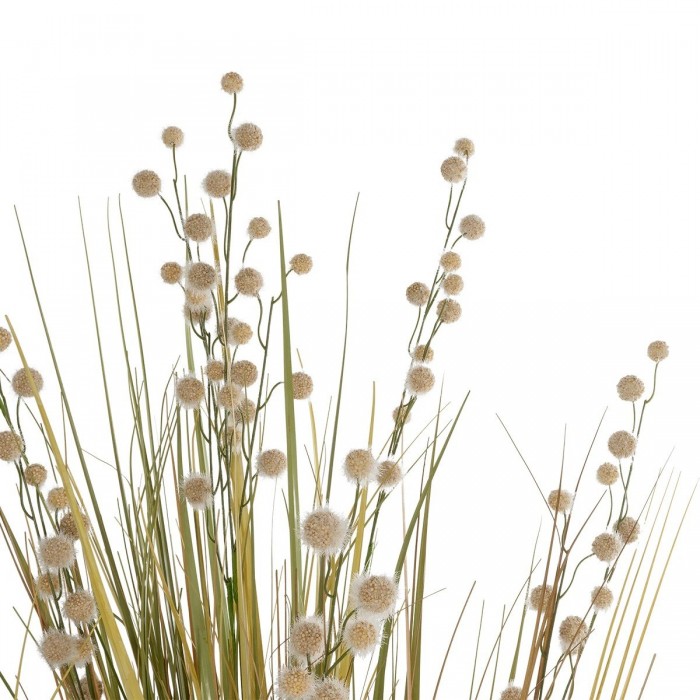 GloboStar® Artificial Garden CRASPEDIA GRASS 21480 Τεχνητό Διακοσμητικό Φυτό Μπεζ & Πράσινο Κρασπέδια Μ90 x Π60 x Υ175cm GloboStar® Artificial Garden CRASPEDIA GRASS 21480 Τεχνητό Διακοσμητικό Φυτό Μπεζ & Πράσινο Κρασπέδια Μ90 x Π60 x Υ175cm
