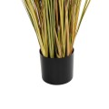 GloboStar® Artificial Garden CRASPEDIA GRASS 21480 Τεχνητό Διακοσμητικό Φυτό Μπεζ & Πράσινο Κρασπέδια Μ90 x Π60 x Υ175cm GloboStar® Artificial Garden CRASPEDIA GRASS 21480 Τεχνητό Διακοσμητικό Φυτό Μπεζ & Πράσινο Κρασπέδια Μ90 x Π60 x Υ175cm