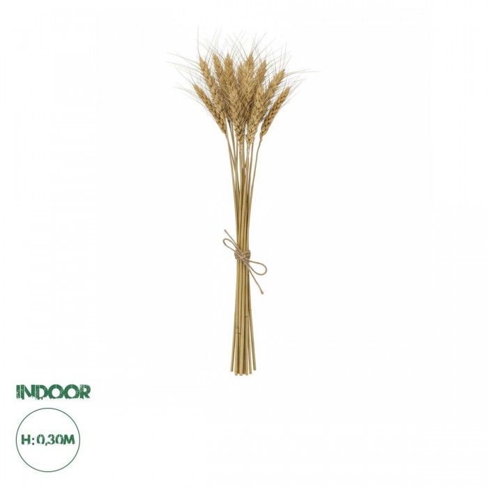 GloboStar® Artificial Garden REAL DRIED WHEAT GRASS 21488 Τεχνητό Διακοσμητικό Κλαδί Σιταριού Y30cm - Σετ 10 τμχ GloboStar® Artificial Garden REAL DRIED WHEAT GRASS 21488 Τεχνητό Διακοσμητικό Κλαδί Σιταριού Y30cm - Σετ 10 τμχ