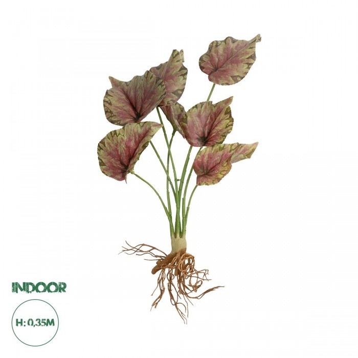 GloboStar® Artificial Garden BEGONIA LEAVES ROOTED 21490 Τεχνητό Διακοσμητικό Φυτό Πολύχρωμη Βιγόνια Μ25 x Π14 x Υ35cm GloboStar® Artificial Garden BEGONIA LEAVES ROOTED 21490 Τεχνητό Διακοσμητικό Φυτό Πολύχρωμη Βιγόνια Μ25 x Π14 x Υ35cm