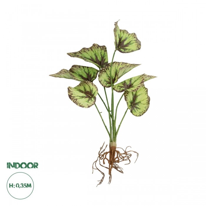 GloboStar® Artificial Garden BEGONIA LEAVES ROOTED 21491 Τεχνητό Διακοσμητικό Φυτό Πολύχρωμη Βιγόνια Μ25 x Π14 x Υ35cm GloboStar® Artificial Garden BEGONIA LEAVES ROOTED 21491 Τεχνητό Διακοσμητικό Φυτό Πολύχρωμη Βιγόνια Μ25 x Π14 x Υ35cm