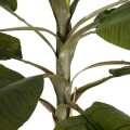 GloboStar® Artificial Garden BANANA TREE 21501 Τεχνητό Διακοσμητικό Δέντρο Μπανανιάς Υ400cm GloboStar® Artificial Garden BANANA TREE 21501 Τεχνητό Διακοσμητικό Δέντρο Μπανανιάς Υ400cm