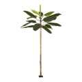 GloboStar® Artificial Garden BANANA TREE 21502 Τεχνητό Διακοσμητικό Δέντρο Μπανανιάς Υ500cm GloboStar® Artificial Garden BANANA TREE 21502 Τεχνητό Διακοσμητικό Δέντρο Μπανανιάς Υ500cm
