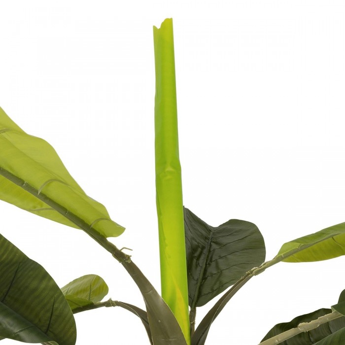 GloboStar® Artificial Garden BANANA TREE 21502 Τεχνητό Διακοσμητικό Δέντρο Μπανανιάς Υ500cm GloboStar® Artificial Garden BANANA TREE 21502 Τεχνητό Διακοσμητικό Δέντρο Μπανανιάς Υ500cm