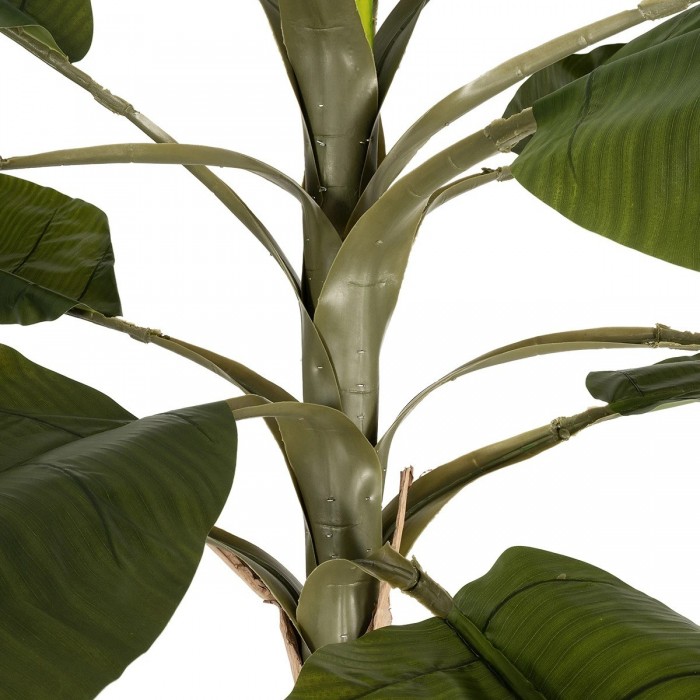 GloboStar® Artificial Garden BANANA TREE 21502 Τεχνητό Διακοσμητικό Δέντρο Μπανανιάς Υ500cm GloboStar® Artificial Garden BANANA TREE 21502 Τεχνητό Διακοσμητικό Δέντρο Μπανανιάς Υ500cm