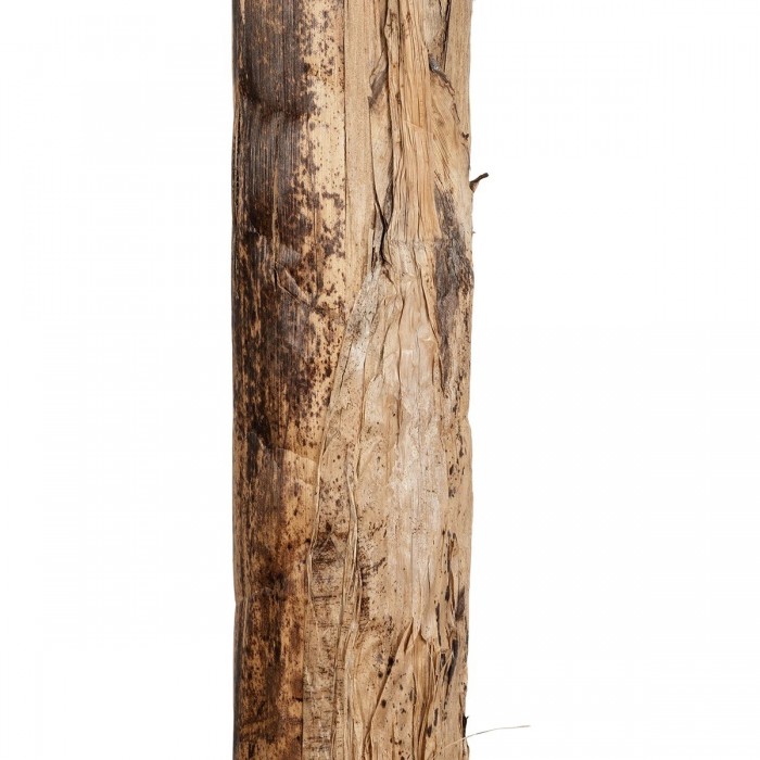 GloboStar® Artificial Garden BANANA TREE 21502 Τεχνητό Διακοσμητικό Δέντρο Μπανανιάς Υ500cm GloboStar® Artificial Garden BANANA TREE 21502 Τεχνητό Διακοσμητικό Δέντρο Μπανανιάς Υ500cm