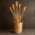 GloboStar® Artificial Garden ARIZONA 21504 Διακοσμητικό Πλεκτό Καλάθι - Κασπώ Γλάστρα - Flower Pot Μπεζ Φ42 x Υ42cm GloboStar® Artificial Garden ARIZONA 21504 Διακοσμητικό Πλεκτό Καλάθι - Κασπώ Γλάστρα - Flower Pot Μπεζ Φ42 x Υ42cm