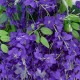GloboStar® Artificial Garden VIOLET WISTERIA FLOWER BRANCH 21509 Σετ 12 Τεχνητά Διακοσμητικά κλαδιά Βιστέριας Βιολετί Φ45 x Υ120cm