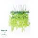 GloboStar® Artificial Garden GREEN WISTERIA FLOWER BRANCH 21514 Σετ 12 Τεχνητά Διακοσμητικά κλαδιά Βιστέριας Πράσινο Φ45 x Υ120cm
