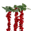GloboStar® Artificial Garden RED WISTERIA FLOWER BRANCH 21519 Τεχνητό Διακοσμητικό κλαδί Βιστέρια Κόκκινο Φ45 x Υ120cm GloboStar® Artificial Garden RED WISTERIA FLOWER BRANCH 21519 Τεχνητό Διακοσμητικό κλαδί Βιστέρια Κόκκινο Φ45 x Υ120cm