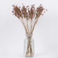 GloboStar® CYPERUS 36500 Αποξηραμένο Φυτό Κύπειρος - Μπουκέτο Διακοσμητικών Κλαδιών Μπεζ - Καφέ Υ60cm