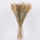 GloboStar® ERICAGRASS 36504 Αποξηραμένο Φυτό Έρρικα - Μπουκέτο Διακοσμητικών Κλαδιών Μπεζ - Πράσινο Υ60cm GloboStar® ERICAGRASS 36504 Αποξηραμένο Φυτό Έρρικα - Μπουκέτο Διακοσμητικών Κλαδιών Μπεζ - Πράσινο Υ60cm
