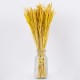 GloboStar® RISEGRASS 36506 Αποξηραμένο Φυτό Ρύζι - Μπουκέτο Διακοσμητικών Κλαδιών Μπεζ - Κίτρινο Υ60cm