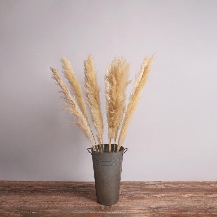 GloboStar® PAMPASGRASS 36509 Αποξηραμένο Φυτό Γρασίδι της Πάμπας - Μπουκέτο Διακοσμητικών Κλαδιών Μπεζ - Εκρού Υ120cm GloboStar® PAMPASGRASS 36509 Αποξηραμένο Φυτό Γρασίδι της Πάμπας - Μπουκέτο Διακοσμητικών Κλαδιών Μπεζ - Εκρού Υ120cm