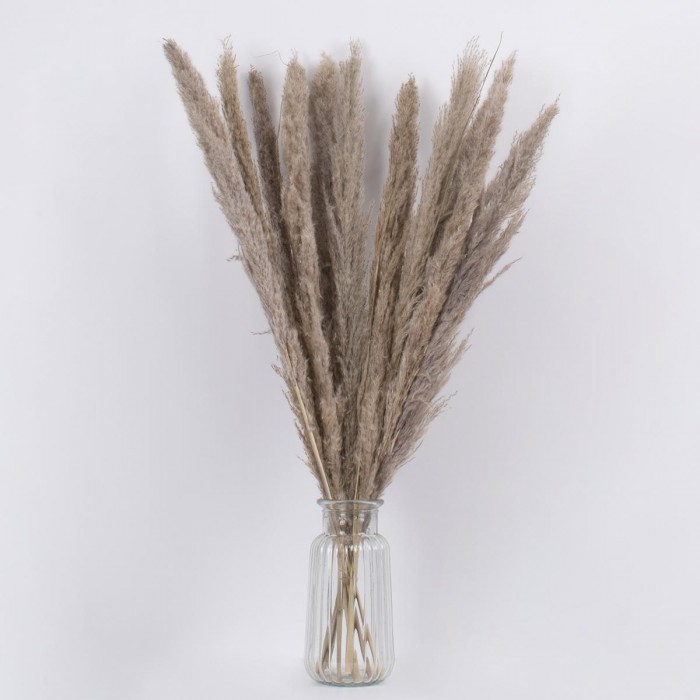 GloboStar® PAMPASGRASS 36511 Αποξηραμένο Φυτό Γρασίδι της Πάμπας - Μπουκέτο Διακοσμητικών Κλαδιών Καφέ - Γκρι Υ80cm GloboStar® PAMPASGRASS 36511 Αποξηραμένο Φυτό Γρασίδι της Πάμπας - Μπουκέτο Διακοσμητικών Κλαδιών Καφέ - Γκρι Υ80cm