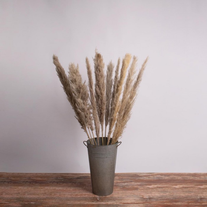 GloboStar® PAMPASGRASS 36513 Αποξηραμένο Φυτό Γρασίδι της Πάμπας - Μπουκέτο Διακοσμητικών Κλαδιών Καφέ - Γκρι Υ120cm GloboStar® PAMPASGRASS 36513 Αποξηραμένο Φυτό Γρασίδι της Πάμπας - Μπουκέτο Διακοσμητικών Κλαδιών Καφέ - Γκρι Υ120cm