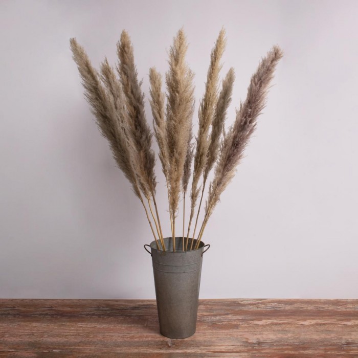 GloboStar® PAMPASGRASS 36514 Αποξηραμένο Φυτό Γρασίδι της Πάμπας - Μπουκέτο Διακοσμητικών Κλαδιών Καφέ - Γκρι Υ150cm GloboStar® PAMPASGRASS 36514 Αποξηραμένο Φυτό Γρασίδι της Πάμπας - Μπουκέτο Διακοσμητικών Κλαδιών Καφέ - Γκρι Υ150cm