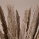 GloboStar® PAMPASGRASS 36514 Αποξηραμένο Φυτό Γρασίδι της Πάμπας - Μπουκέτο Διακοσμητικών Κλαδιών Καφέ - Γκρι Υ150cm GloboStar® PAMPASGRASS 36514 Αποξηραμένο Φυτό Γρασίδι της Πάμπας - Μπουκέτο Διακοσμητικών Κλαδιών Καφέ - Γκρι Υ150cm