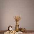 GLOBOSTAR® MISCANTHUS 36534 Αποξηραμένο Διακοσμητικό Μπουκέτο Μίσχανθος - Μπεζ - Μ20 x Π20 x Υ40cm - Πακέτο 10 Τεμαχίων
