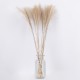 GLOBOSTAR® MISCANTHUS 36536 Αποξηραμένο Διακοσμητικό Μπουκέτο Μίσχανθος - Μπεζ - Μ20 x Π20 x Υ80cm - Πακέτο 20 Τεμαχίων GLOBOSTAR® MISCANTHUS 36536 Αποξηραμένο Διακοσμητικό Μπουκέτο Μίσχανθος - Μπεζ - Μ20 x Π20 x Υ80cm - Πακέτο 20 Τεμαχίων