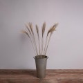 GloboStar® MISCANTHUS 36538 Αποξηραμένο Φυτό Μίσχανθος - Μπουκέτο Διακοσμητικών Κλαδιών Μπεζ Υ120cm