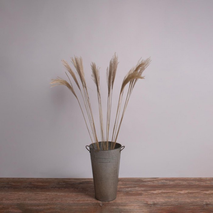 GloboStar® MISCANTHUS 36538 Αποξηραμένο Φυτό Μίσχανθος - Μπουκέτο Διακοσμητικών Κλαδιών Μπεζ Υ120cm GloboStar® MISCANTHUS 36538 Αποξηραμένο Φυτό Μίσχανθος - Μπουκέτο Διακοσμητικών Κλαδιών Μπεζ Υ120cm