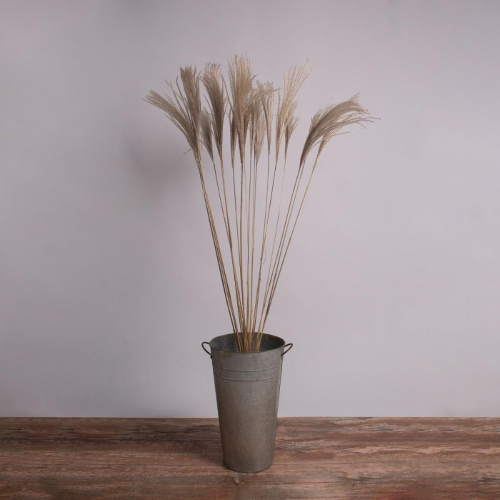 GloboStar® MISCANTHUS 36539 Αποξηραμένο Φυτό Μίσχανθος - Μπουκέτο Διακοσμητικών Κλαδιών Μπεζ Υ140cm GloboStar® MISCANTHUS 36539 Αποξηραμένο Φυτό Μίσχανθος - Μπουκέτο Διακοσμητικών Κλαδιών Μπεζ Υ140cm