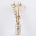 GloboStar® FOUNTAINGRASS 36542 Αποξηραμένο Φυτό Πεννίζετο - Μπουκέτο Διακοσμητικών Κλαδιών Μπεζ - Πράσινο Υ60cm