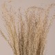 GloboStar® SILVERHAIRGRASS 36545 Αποξηραμένο Φυτό Ασημένια Χλόη - Μπουκέτο Διακοσμητικών Κλαδιών Μπεζ Υ60cm