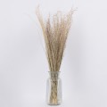 GloboStar® SILVERHAIRGRASS 36545 Αποξηραμένο Φυτό Ασημένια Χλόη - Μπουκέτο Διακοσμητικών Κλαδιών Μπεζ Υ60cm