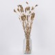 GloboStar® WILDCARROT 36546 Αποξηραμένο Φυτό Άγριο Καρότο - Μπουκέτο Διακοσμητικών Κλαδιών Μπεζ Υ60cm GloboStar® WILDCARROT 36546 Αποξηραμένο Φυτό Άγριο Καρότο - Μπουκέτο Διακοσμητικών Κλαδιών Μπεζ Υ60cm