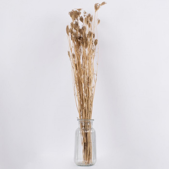 GloboStar® WILDCARROT 36547 Αποξηραμένο Φυτό Άγριο Καρότο - Μπουκέτο Διακοσμητικών Κλαδιών Μπεζ Υ80cm GloboStar® WILDCARROT 36547 Αποξηραμένο Φυτό Άγριο Καρότο - Μπουκέτο Διακοσμητικών Κλαδιών Μπεζ Υ80cm