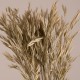 GloboStar® WHEAT 36548 Αποξηραμένο Φυτό Σίτος - Μπουκέτο Διακοσμητικών Κλαδιών Μπεζ - Πράσινο Υ60cm GloboStar® WHEAT 36548 Αποξηραμένο Φυτό Σίτος - Μπουκέτο Διακοσμητικών Κλαδιών Μπεζ - Πράσινο Υ60cm
