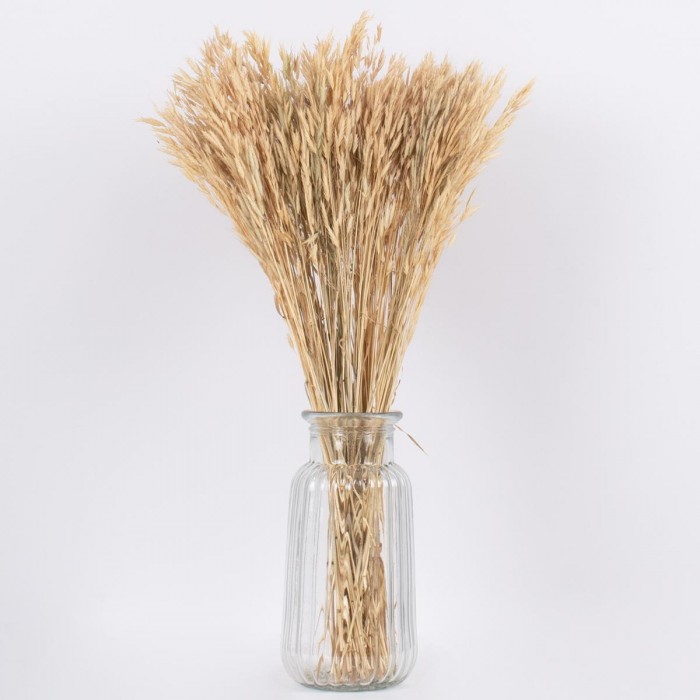 GloboStar® WHEAT 36550 Αποξηραμένο Φυτό Σίτος - Μπουκέτο Διακοσμητικών Κλαδιών Μπεζ Υ60cm GloboStar® WHEAT 36550 Αποξηραμένο Φυτό Σίτος - Μπουκέτο Διακοσμητικών Κλαδιών Μπεζ Υ60cm