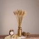 GloboStar® BARLEY 36551 Αποξηραμένο Φυτό Κριθάρι - Μπουκέτο Διακοσμητικών Κλαδιών Μπεζ Υ60cm