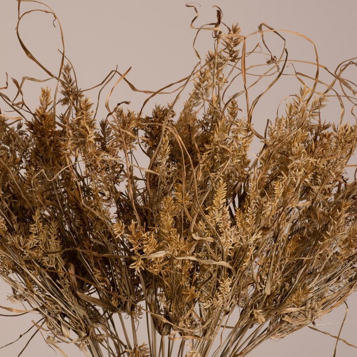 GloboStar® FERNGRASS 36556 Αποξηραμένο Φυτό Φτερόχορτο - Μπουκέτο Διακοσμητικών Κλαδιών Μπεζ Υ60cm GloboStar® FERNGRASS 36556 Αποξηραμένο Φυτό Φτερόχορτο - Μπουκέτο Διακοσμητικών Κλαδιών Μπεζ Υ60cm