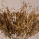 GloboStar® FERNGRASS 36556 Αποξηραμένο Φυτό Φτερόχορτο - Μπουκέτο Διακοσμητικών Κλαδιών Μπεζ Υ60cm GloboStar® FERNGRASS 36556 Αποξηραμένο Φυτό Φτερόχορτο - Μπουκέτο Διακοσμητικών Κλαδιών Μπεζ Υ60cm