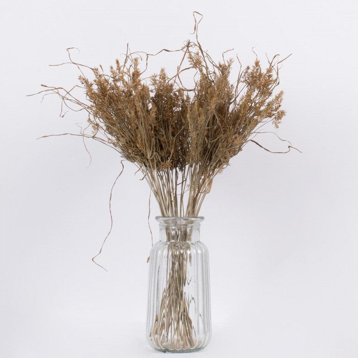 GloboStar® FERNGRASS 36556 Αποξηραμένο Φυτό Φτερόχορτο - Μπουκέτο Διακοσμητικών Κλαδιών Μπεζ Υ60cm GloboStar® FERNGRASS 36556 Αποξηραμένο Φυτό Φτερόχορτο - Μπουκέτο Διακοσμητικών Κλαδιών Μπεζ Υ60cm